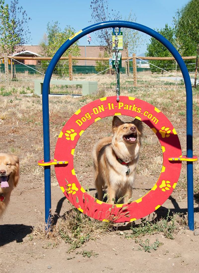 Little Dry Creek Dog Park preview 10